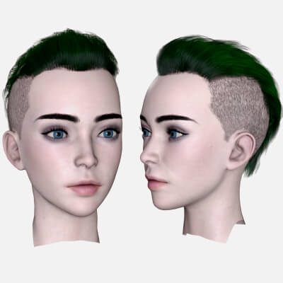 Female Head and Hair 03