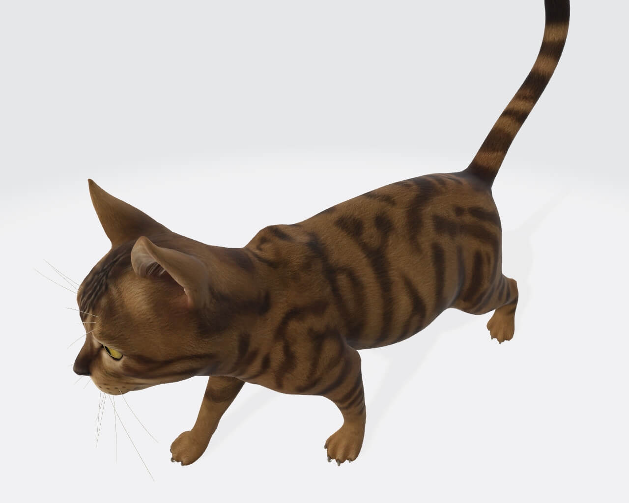 Cat Animal Sculpture 3D Print Model by dawnhurt