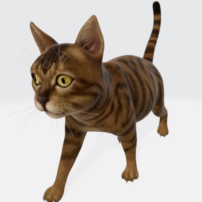 Cat Animal Sculpture