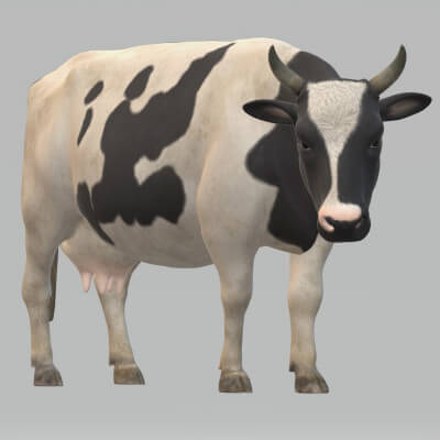 Dairy Cow Sculptures