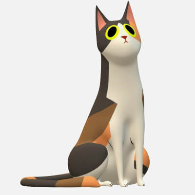 Domestic Shorthair Cat