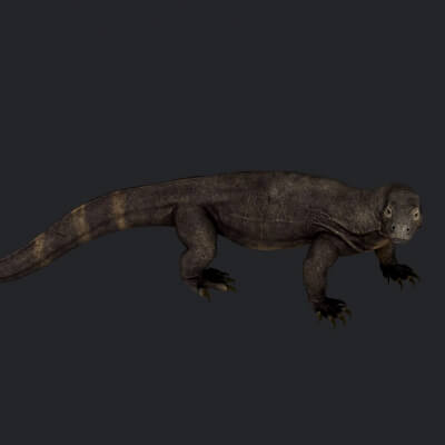 Komodo Dragon 3D Model Ready to Print