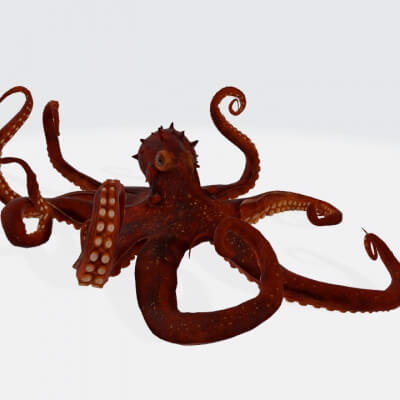 Octopus 3D Model Ready to Print