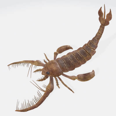 Prehistoric Sea Scorpion Figure
