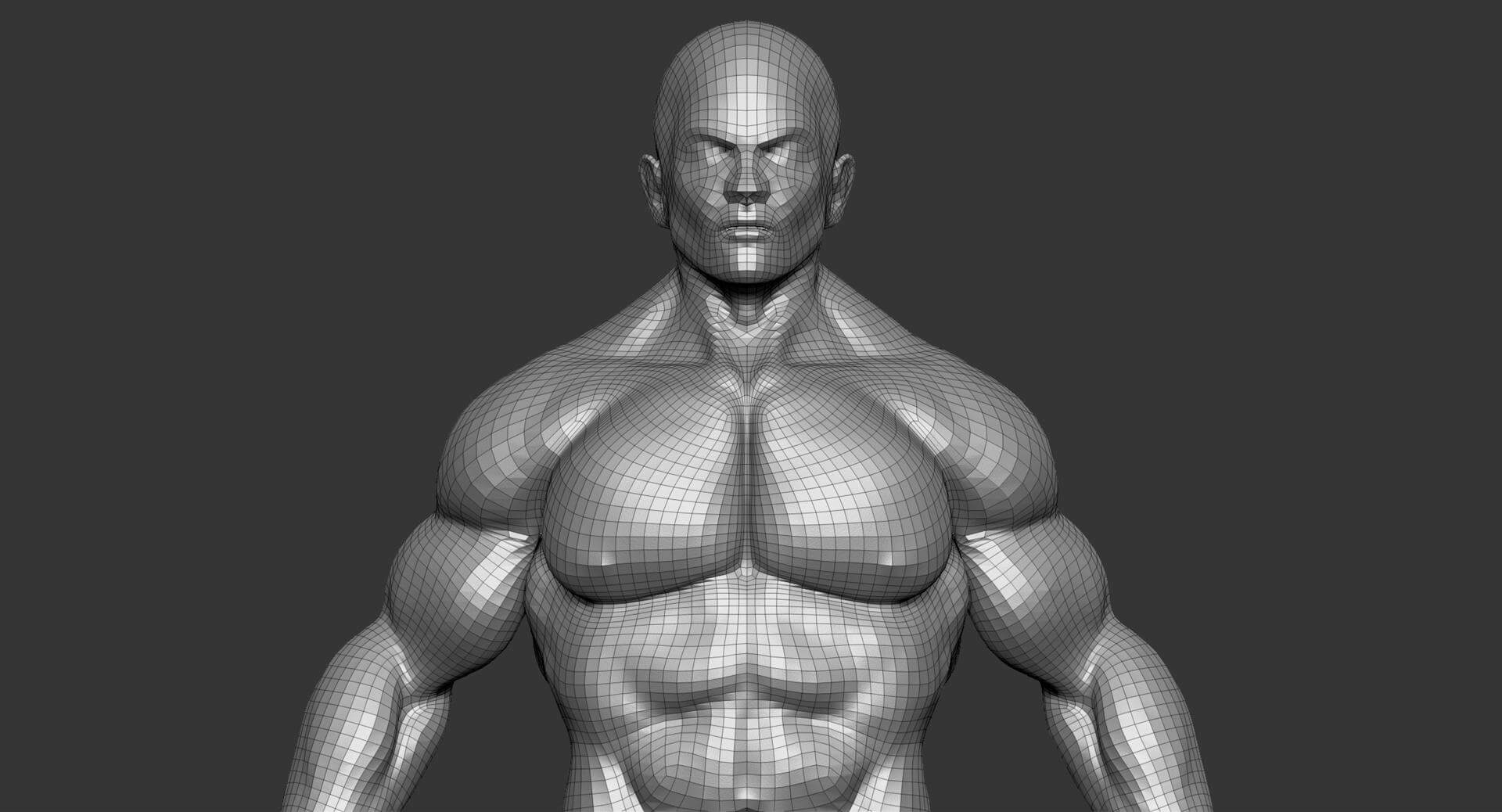Body Builder 3D Model