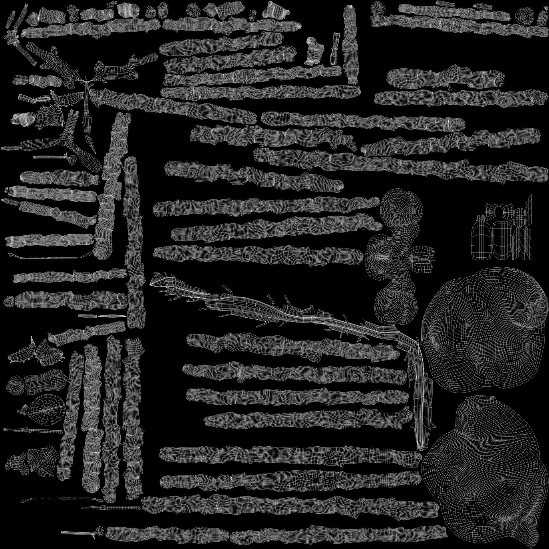 Human Brain Regions - 3D Model by dcbittorf