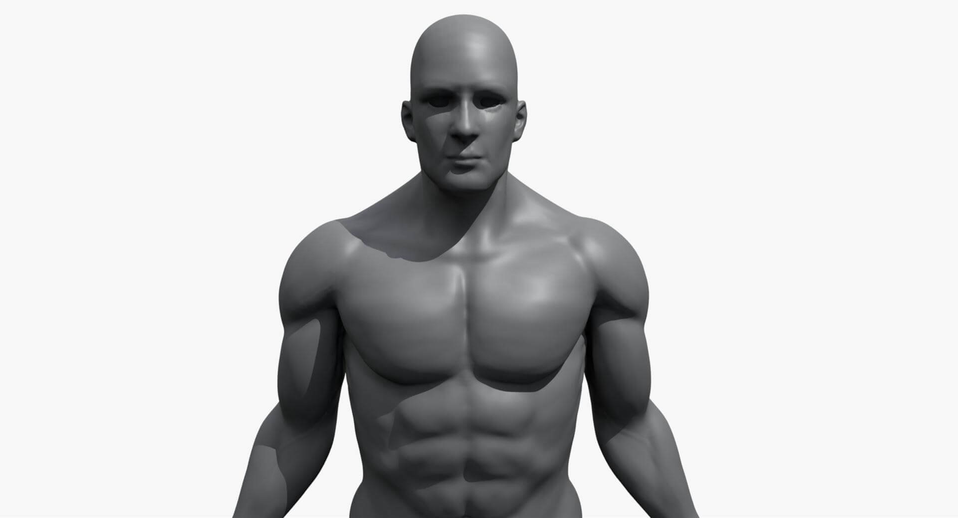 Anatomically Correct Mannequins