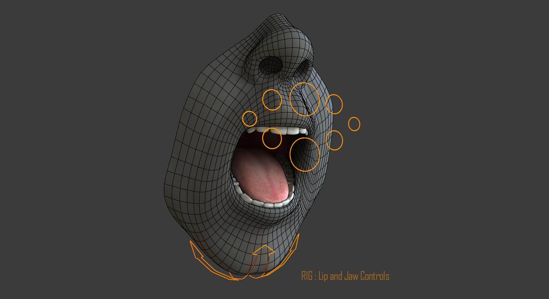 Max Rig Mouth Male Mouth - 3D Model by dcbittorf