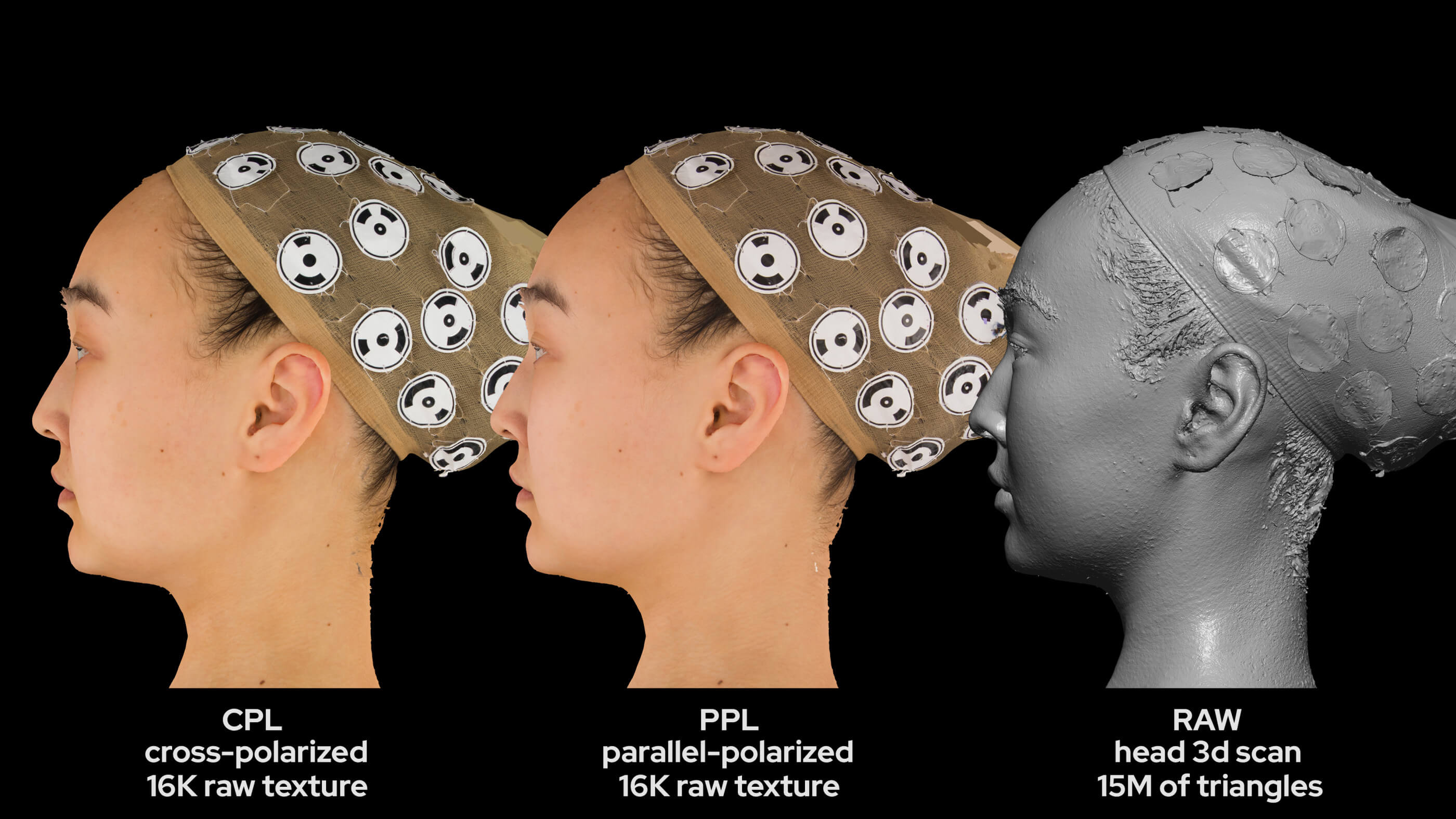 Asian Female 20S Head Scan 014 - 3D Model by deep3dstudio Asian Female 20S Head Scan 014 - 3D Model by deep3dstudio