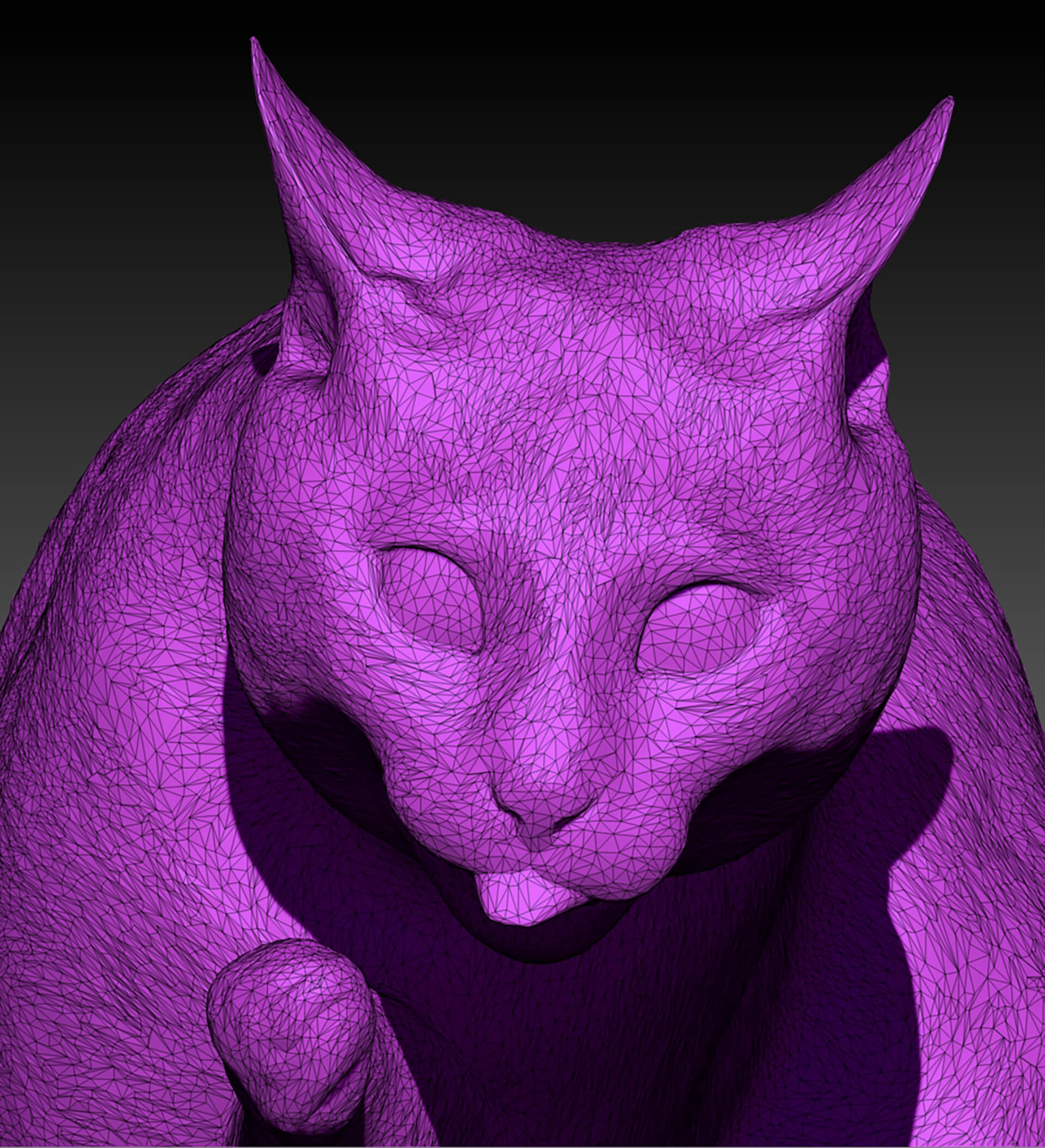 Cat Licking Paw 45 3D Model by deep3dstudio