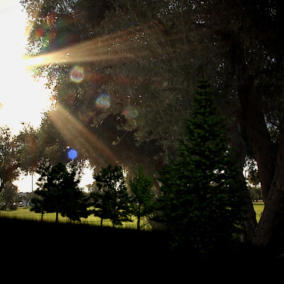 Landscape Valley Complete Environment