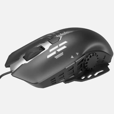Mouse 01