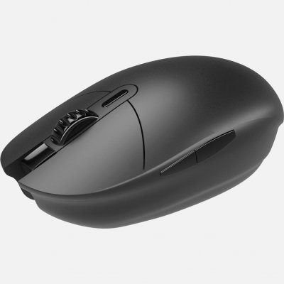 Mouse 02