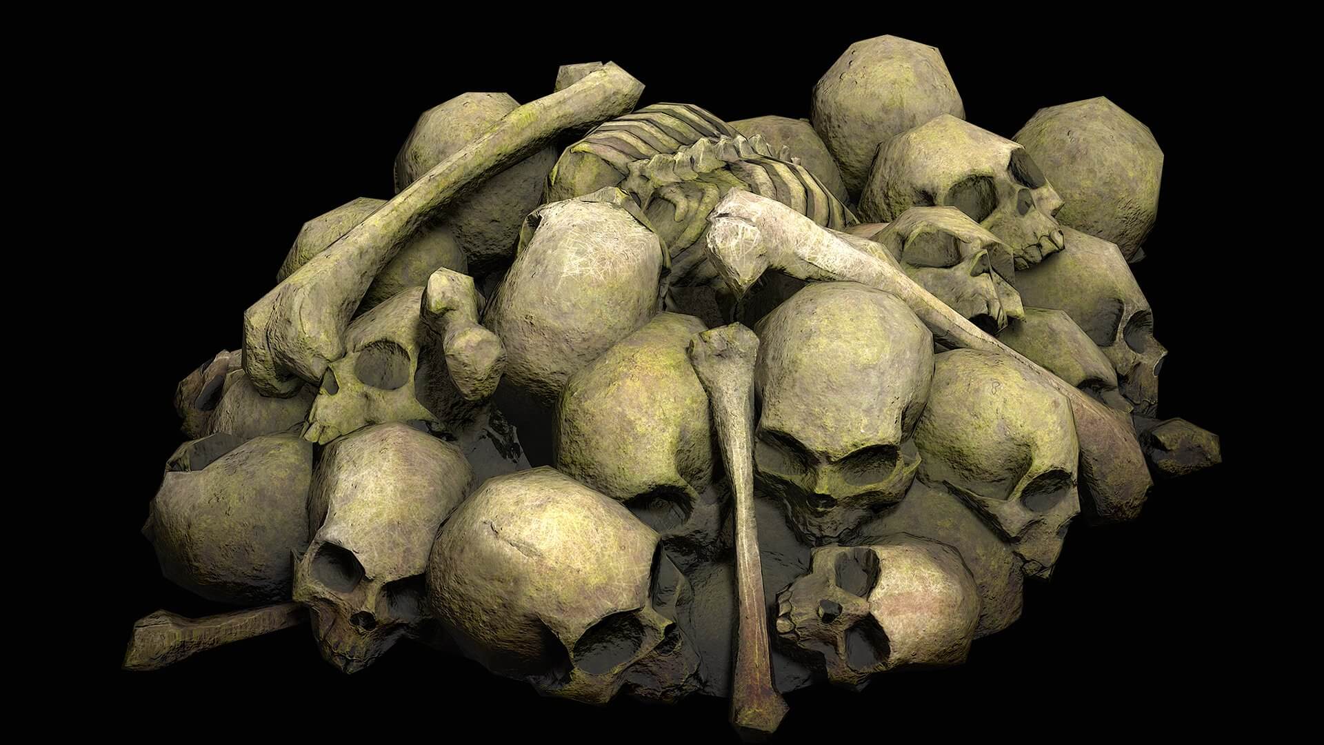 Bones full. Кость 3d model. Кость d3. Parietal Bones 3d.