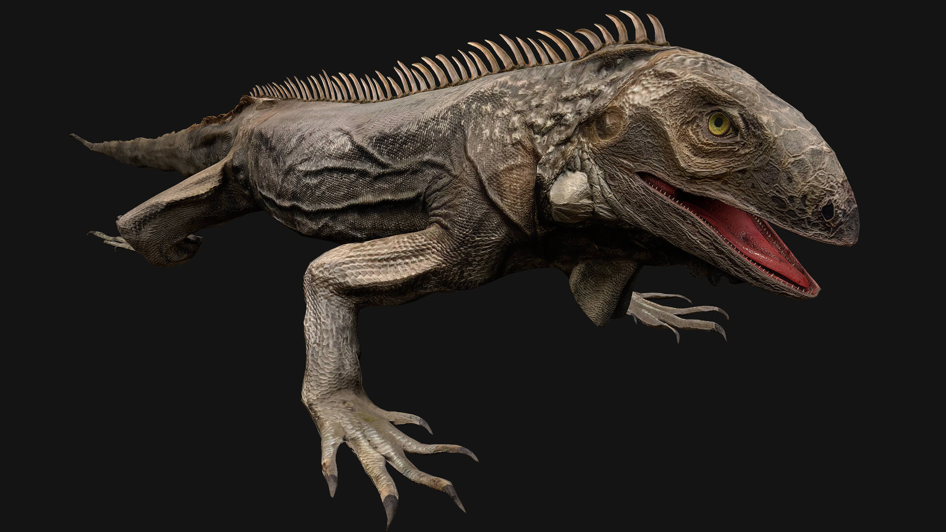 Reptiles Iguana and lizard - 3D Model by Dereza