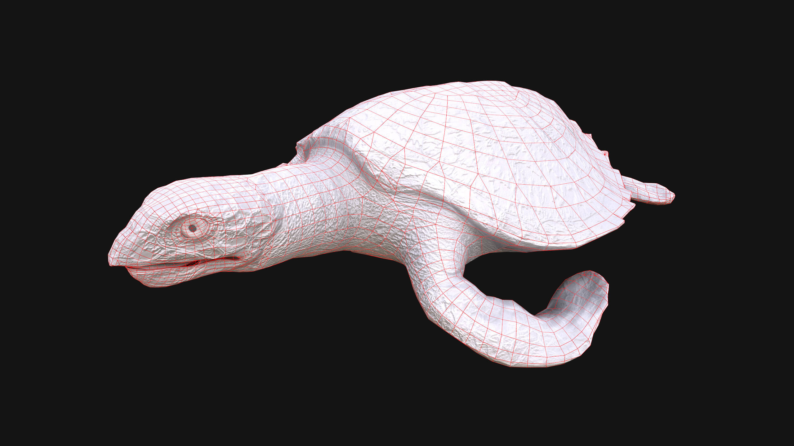 Turtle Reptile Animated - 3D Model by Dereza