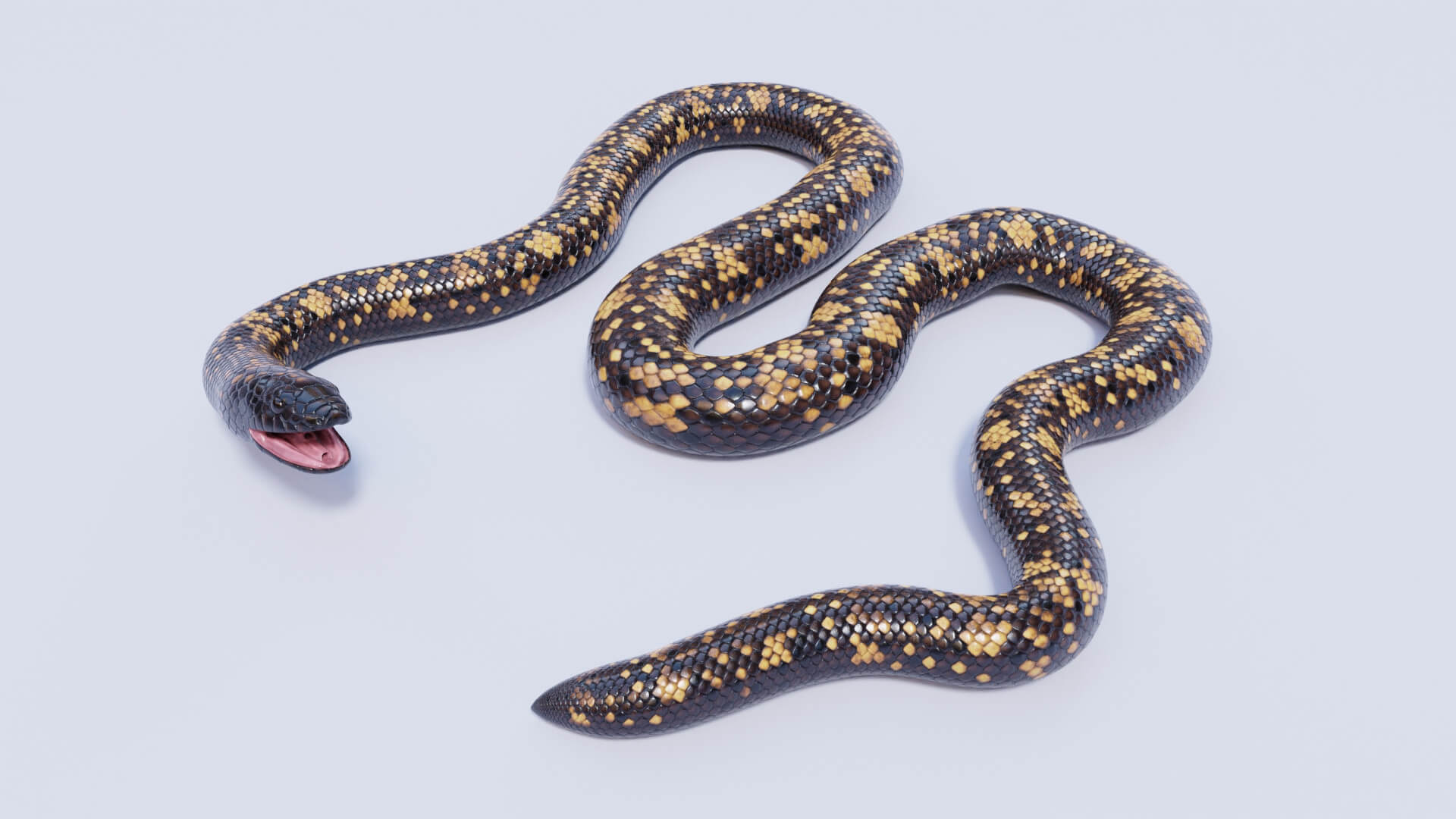 Animated Calabar Python - 3D Model by Dibia Digital