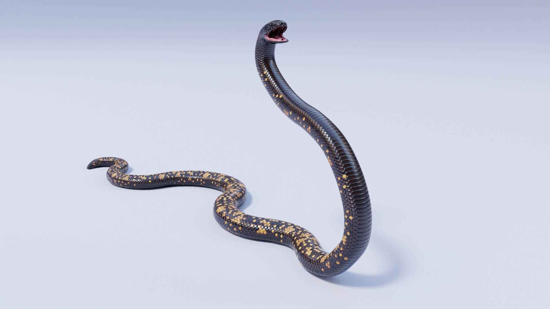 Animated Calabar Python - 3D Model by Dibia Digital