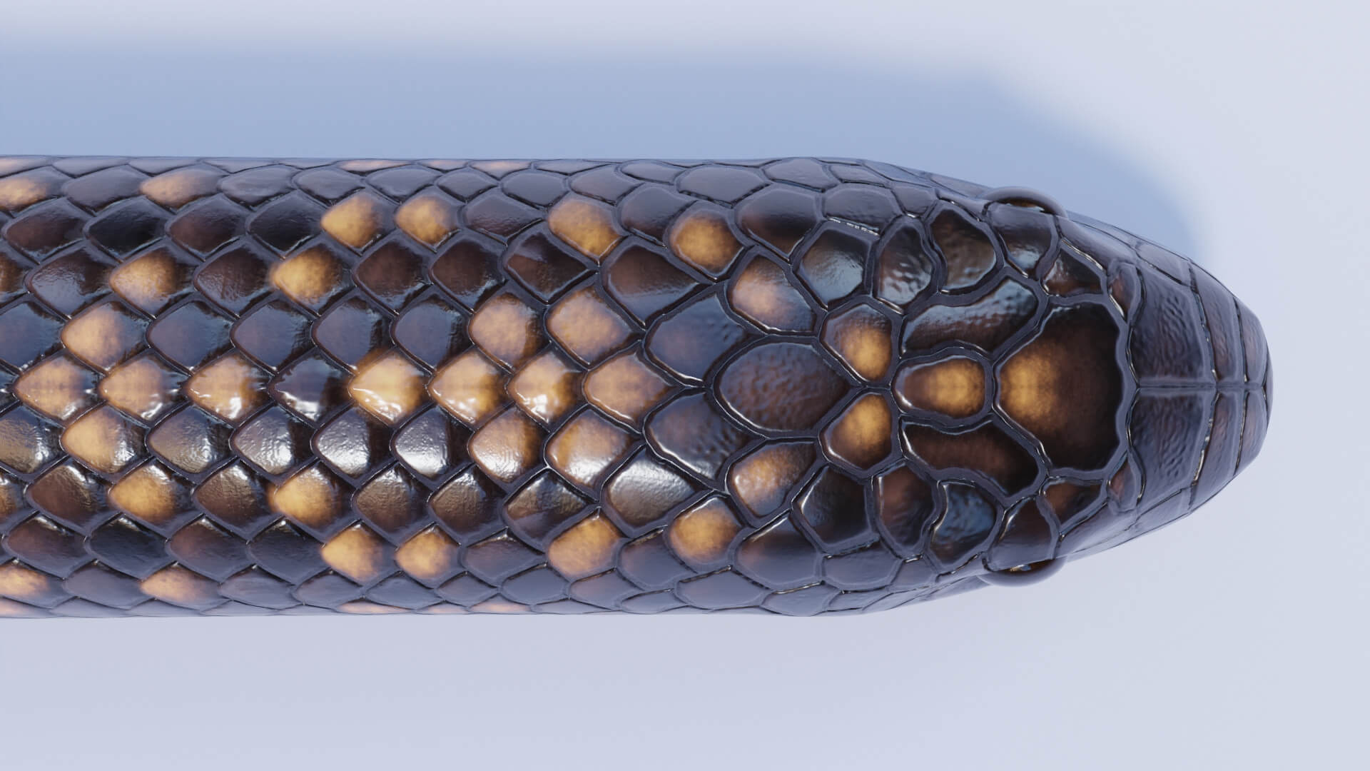 Animated Calabar Python - 3D Model by Dibia Digital