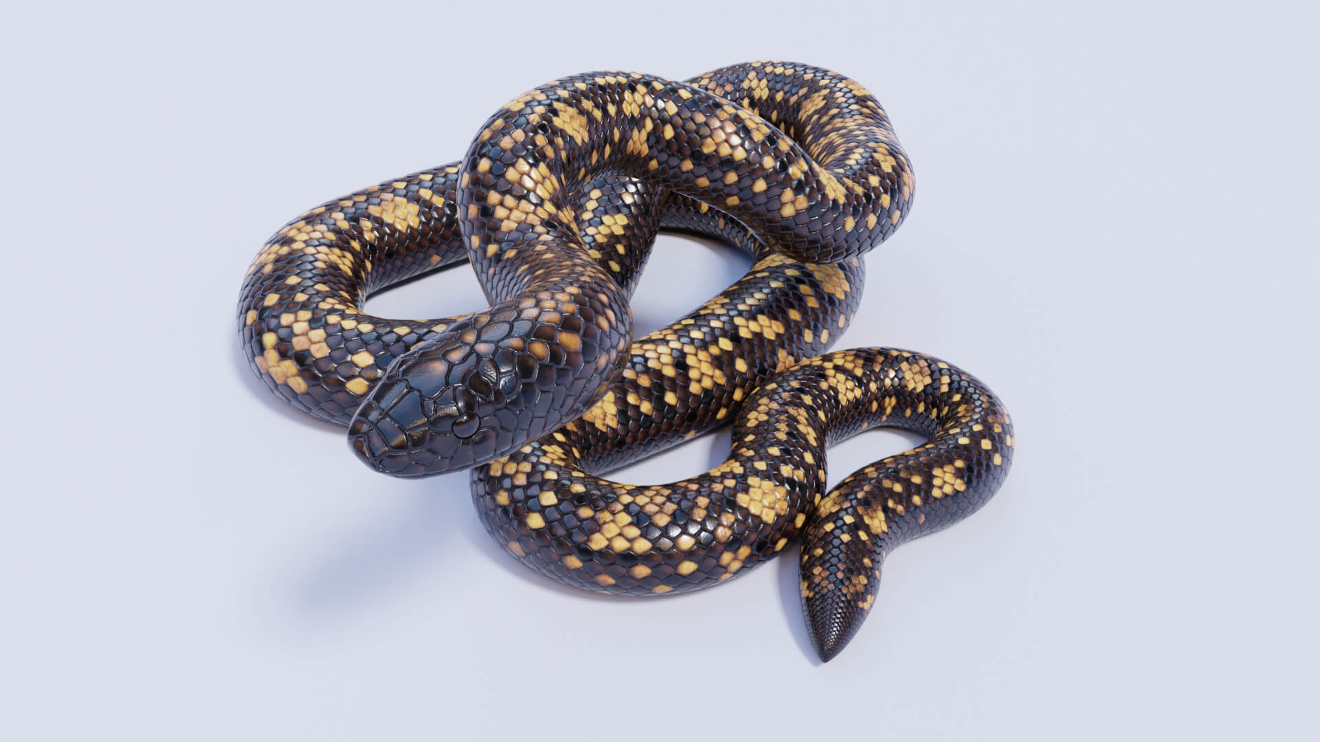 Animated Calabar Python - 3D Model by Dibia Digital