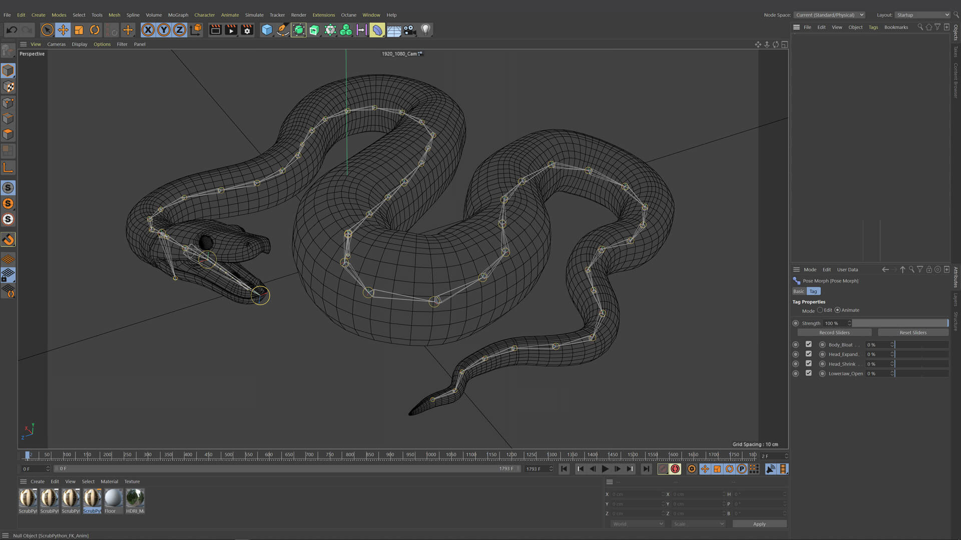 Animated Scrub Python - 3D Model by Dibia Digital