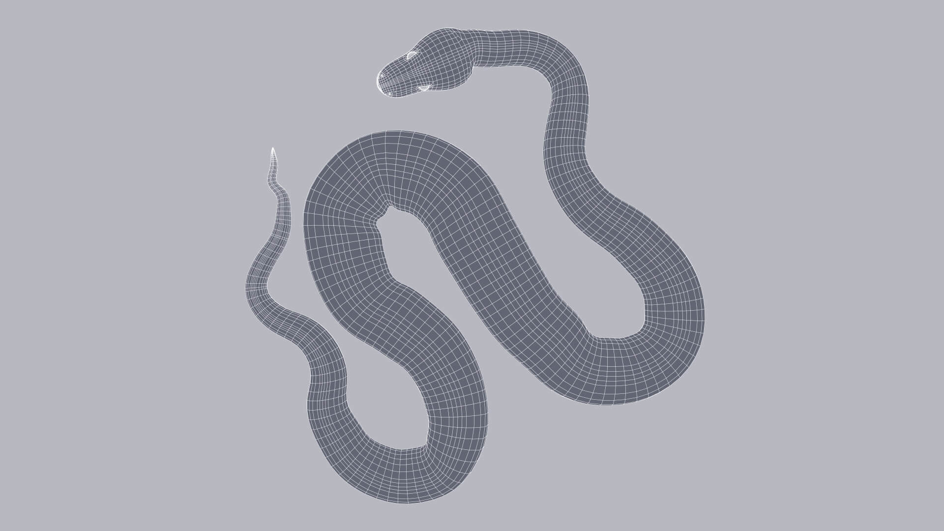 Animated Scrub Python - 3D Model by Dibia Digital