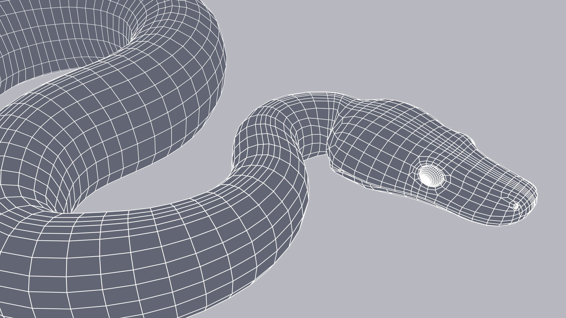 Animated Scrub Python - 3D Model by Dibia Digital