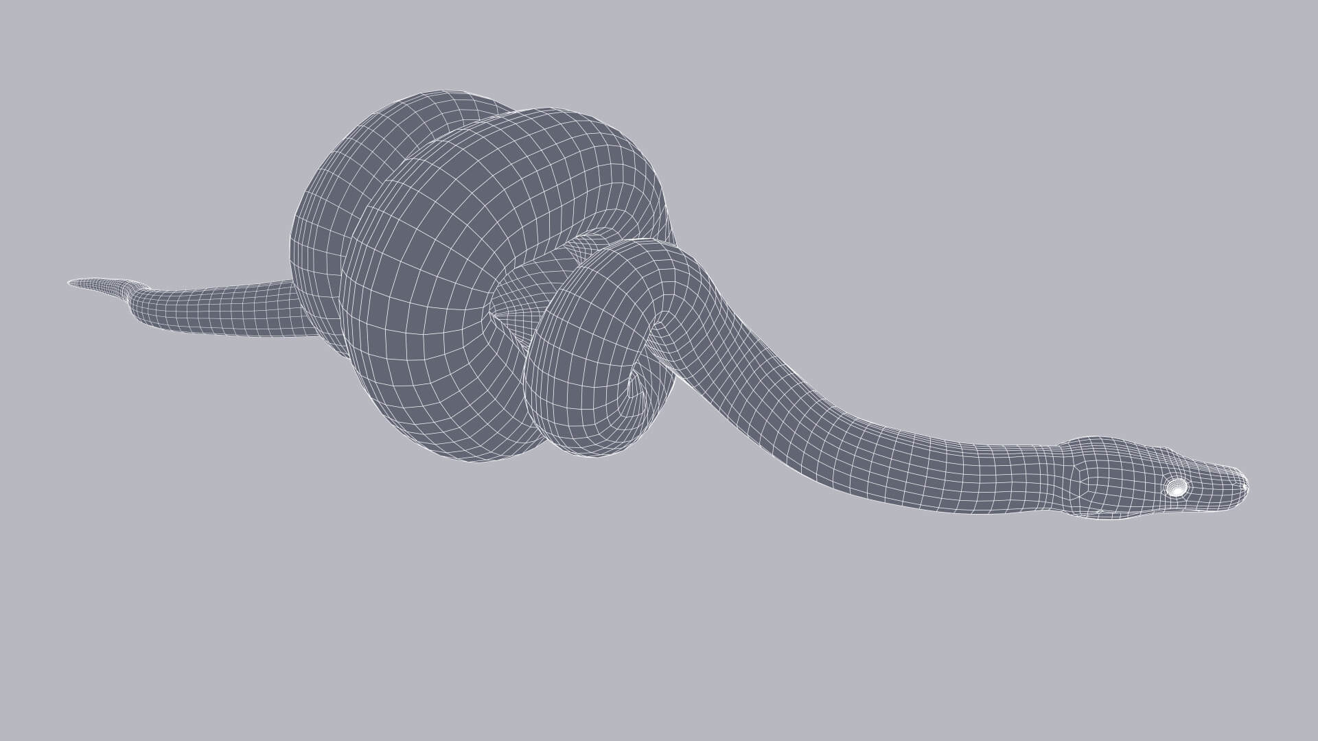 Animated Scrub Python - 3D Model by Dibia Digital