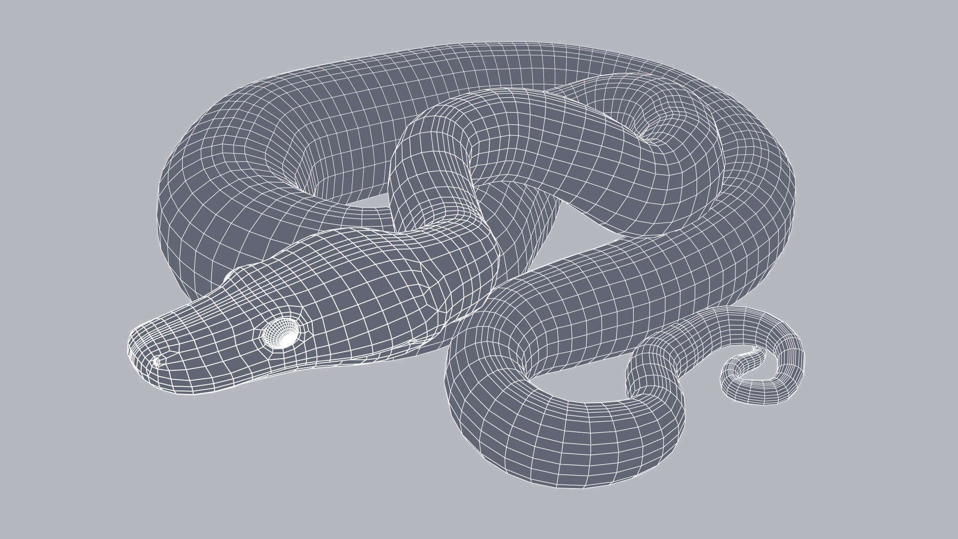Animated Scrub Python - 3D Model by Dibia Digital
