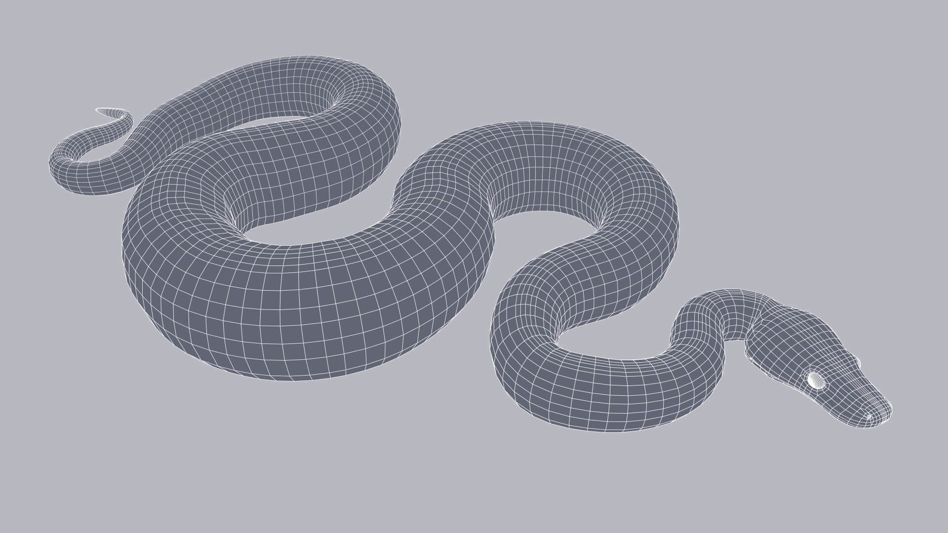 Animated Scrub Python - 3D Model by Dibia Digital