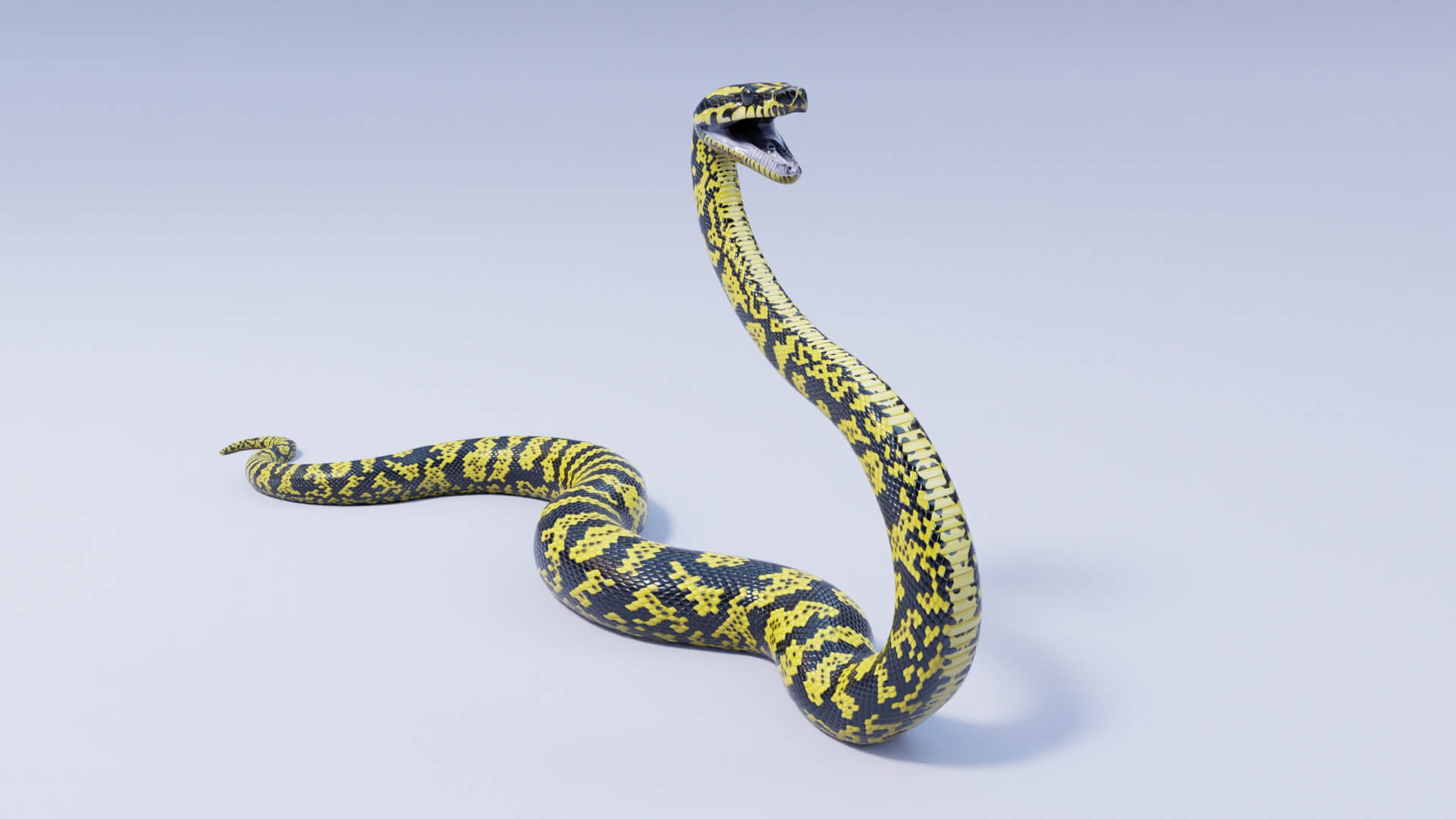 Animated Zebra Jungle Carpet Python - 3D Model by Dibia Digital