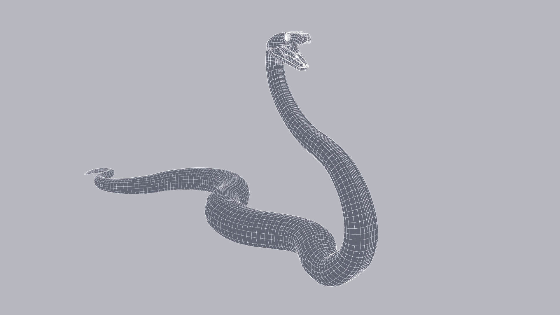 Animated Zebra Jungle Carpet Python - 3D Model by Dibia Digital
