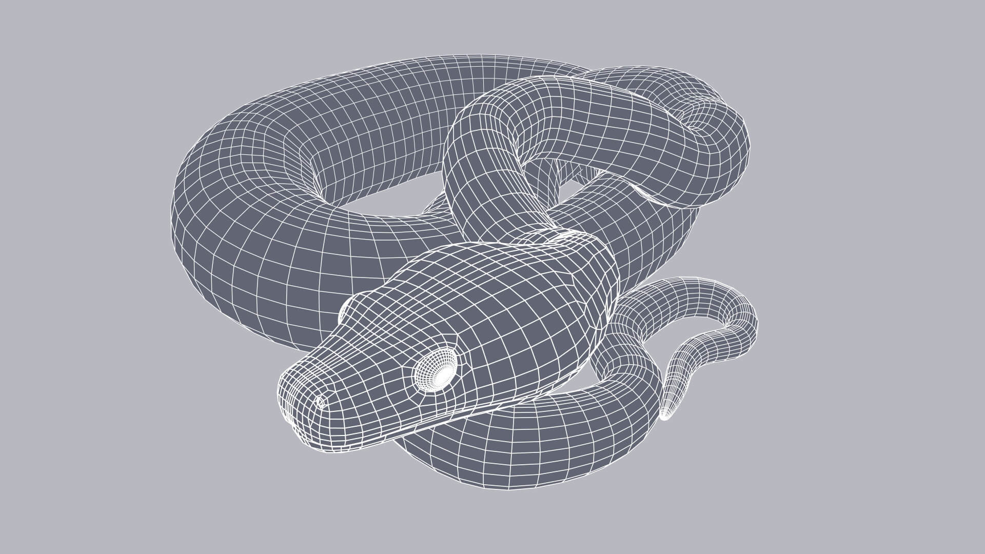 Animated Zebra Jungle Carpet Python - 3D Model by Dibia Digital