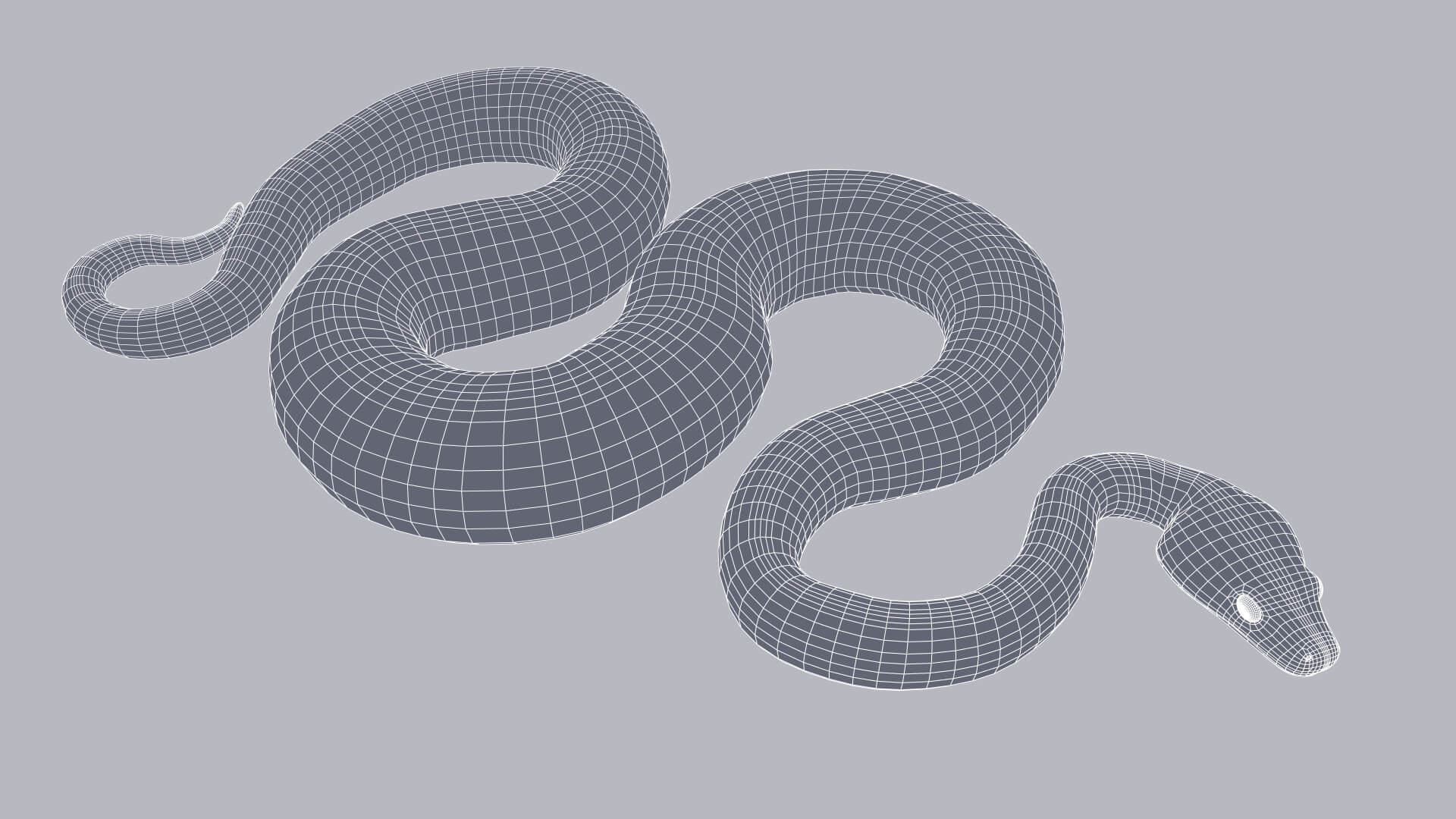 Animated Zebra Jungle Carpet Python - 3D Model by Dibia Digital