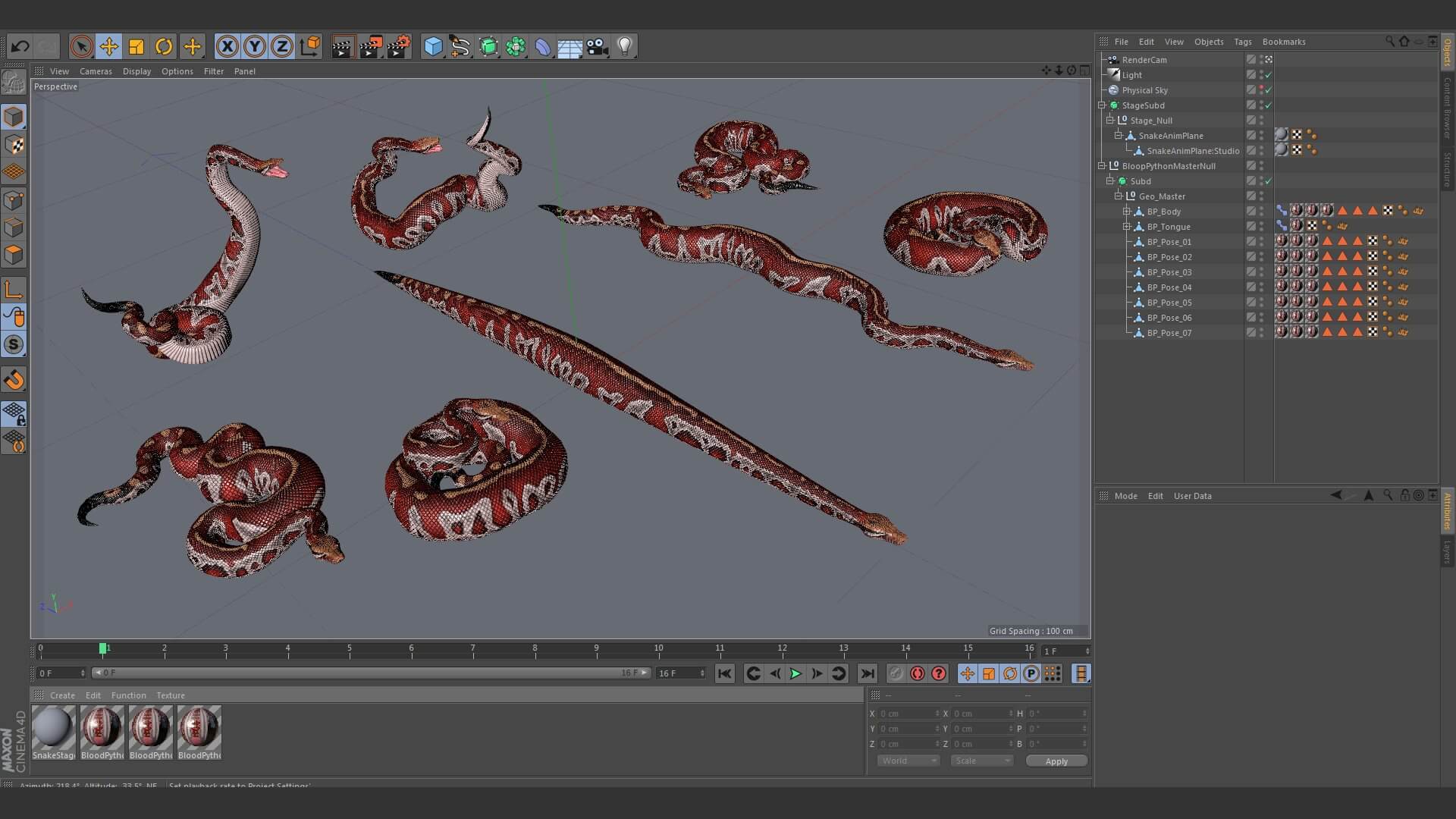 Blood Python Bundle - 3D Model by Dibia Digital