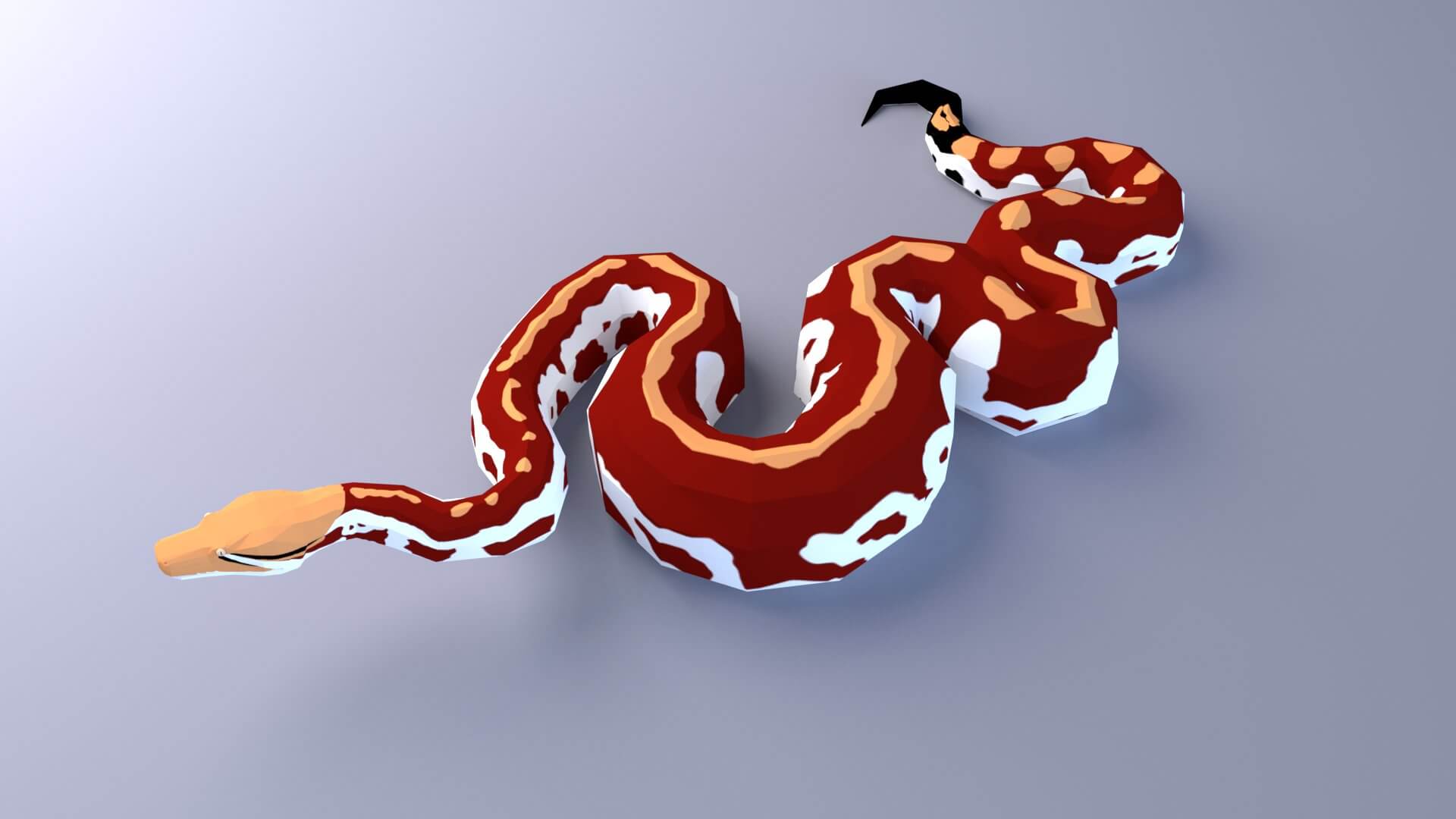 Blood Python Bundle - 3D Model by Dibia Digital