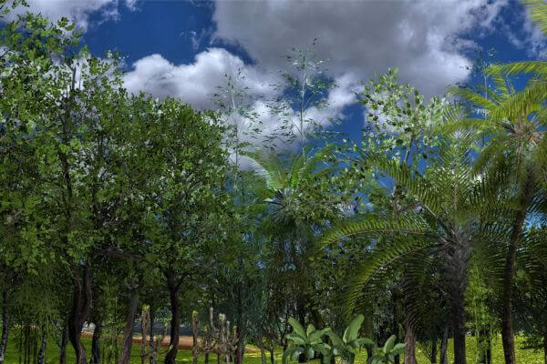 3D Model Plants and Trees