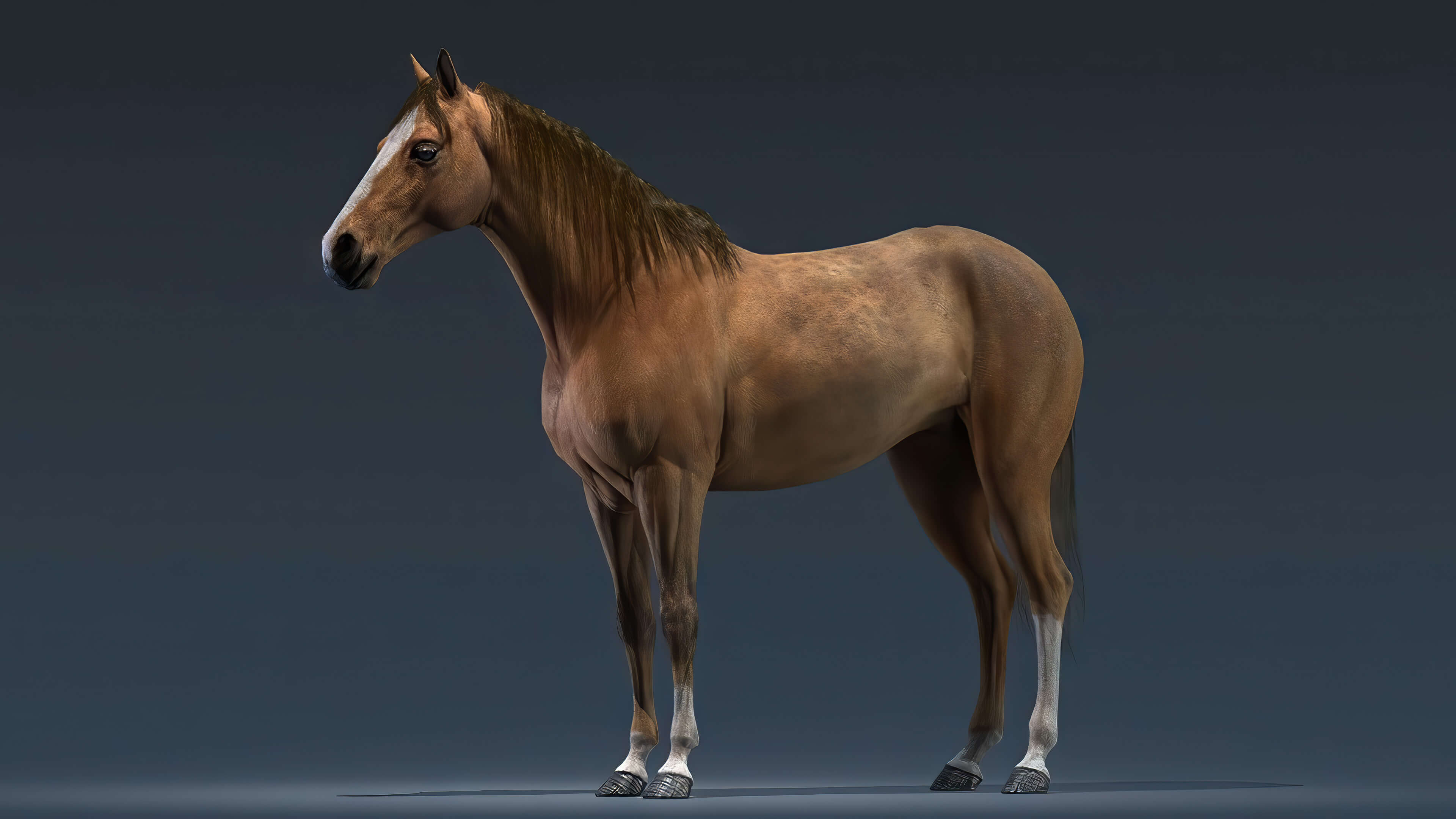 High-Quality Animal 3D Models for Your Creative Projects