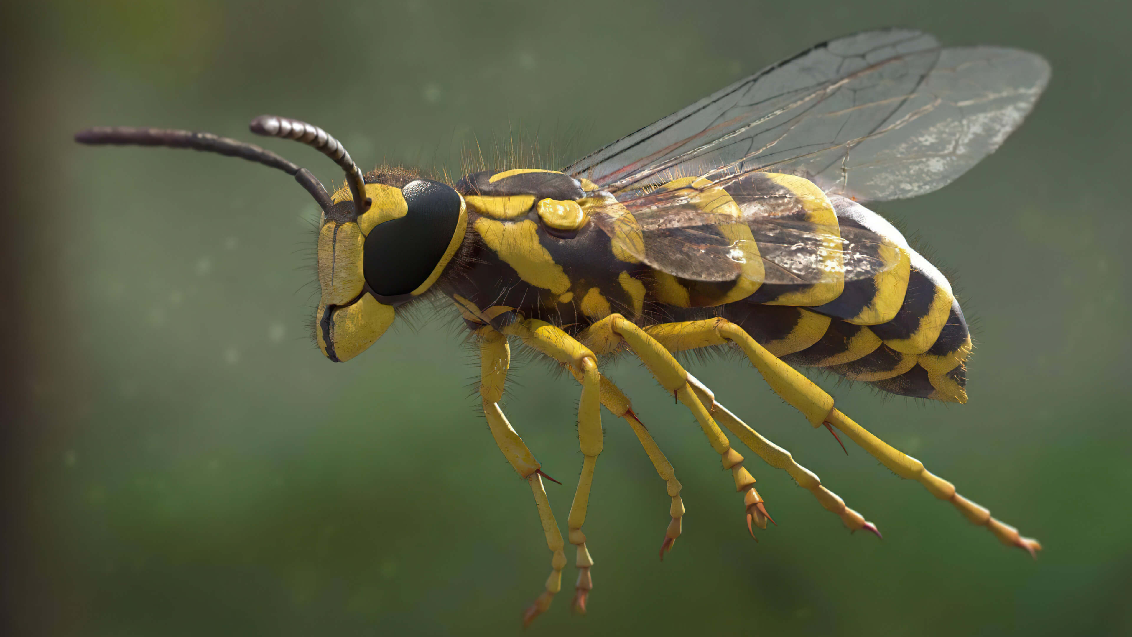 Versatile 3D Insect Models for Your Creative Projects