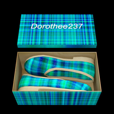 Box for Shoes
