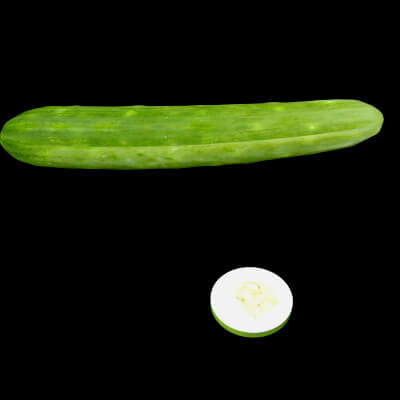Cucumber and Slice