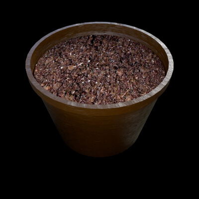 Flower Pot and Potting Soil