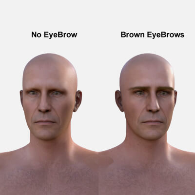 Realistic FiberMesh Eyebrows for Genesis 8 Male