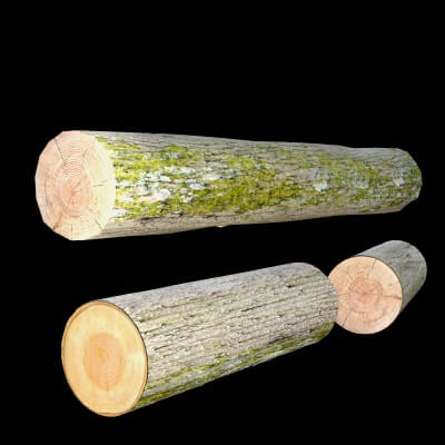 Trunk02 with Left and Right Logs