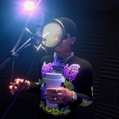 Hip Hop Studio Microphone
