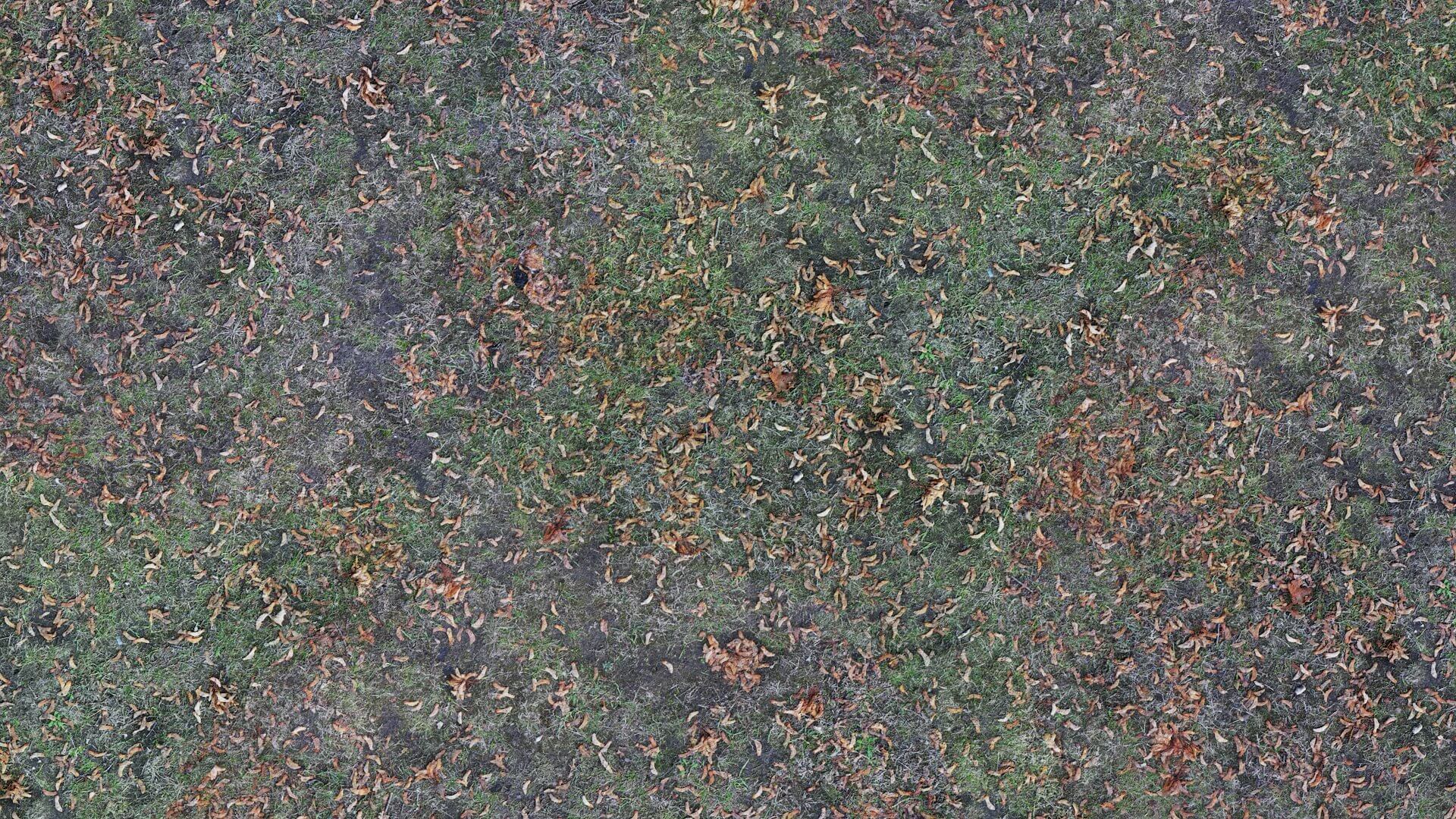 Forest Ground PBR Texture by Eagle Soft