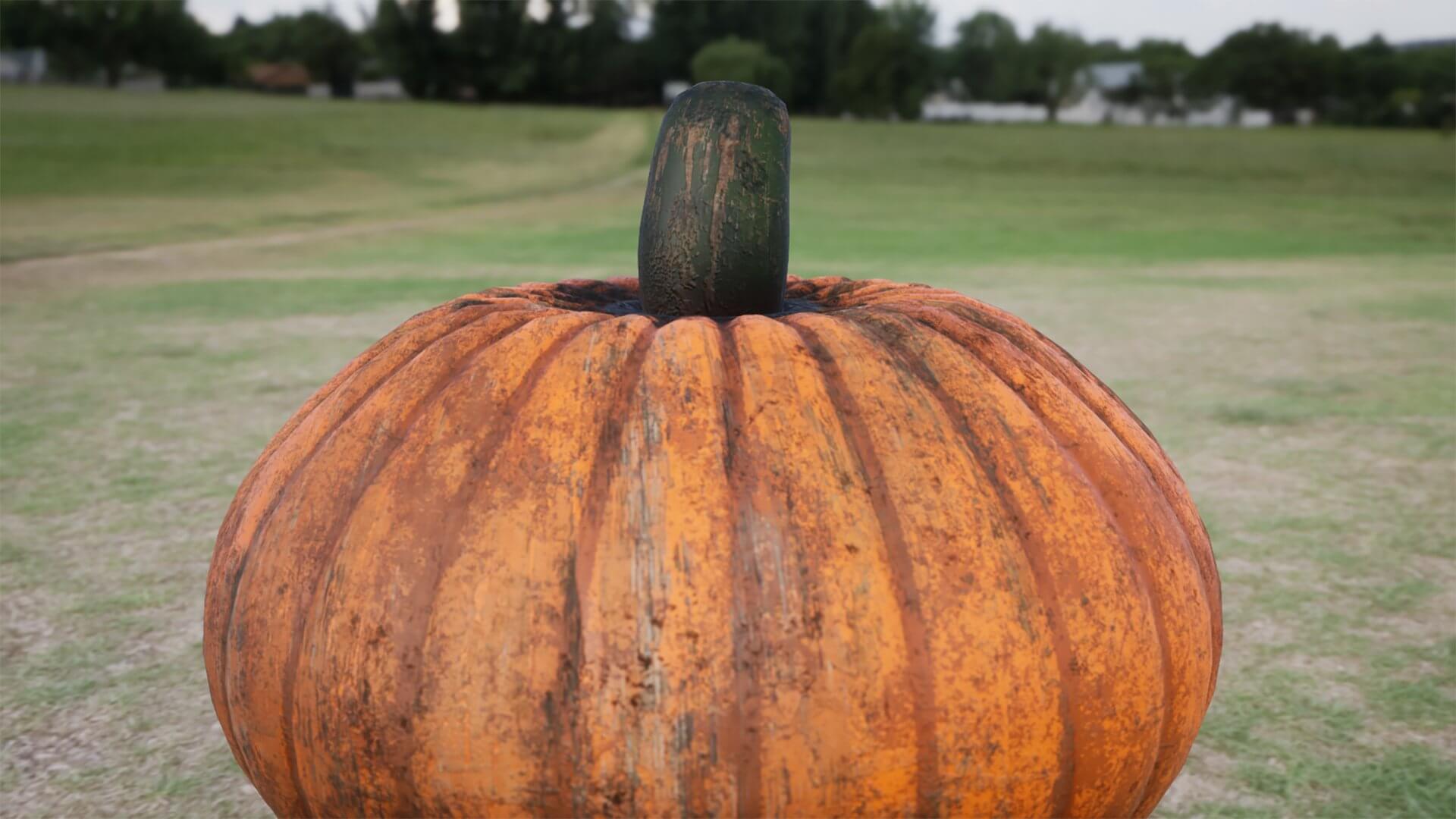 тыква модель. 3 тыквы. тыква 3 5 кг. потимарон каштановая тыква. багратион сорт тыквы.