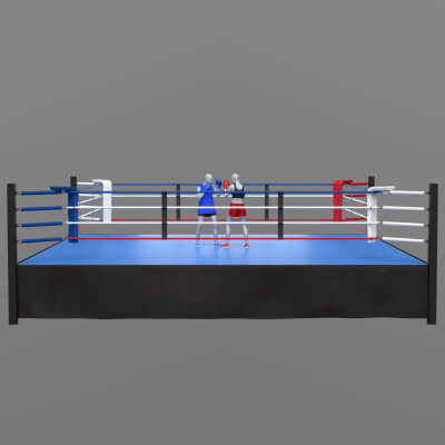 Boxing Ring Set G9