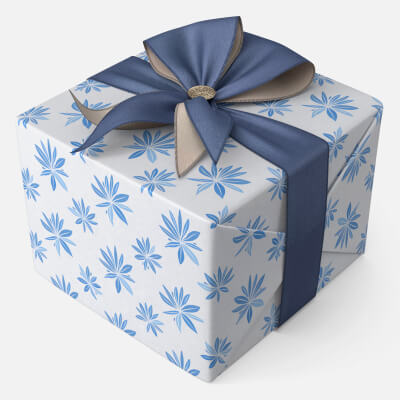 Gift Box 11v Props