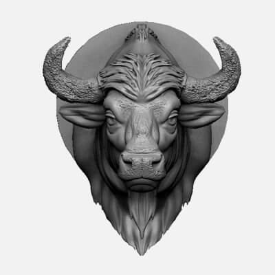 Bison-Bison Head